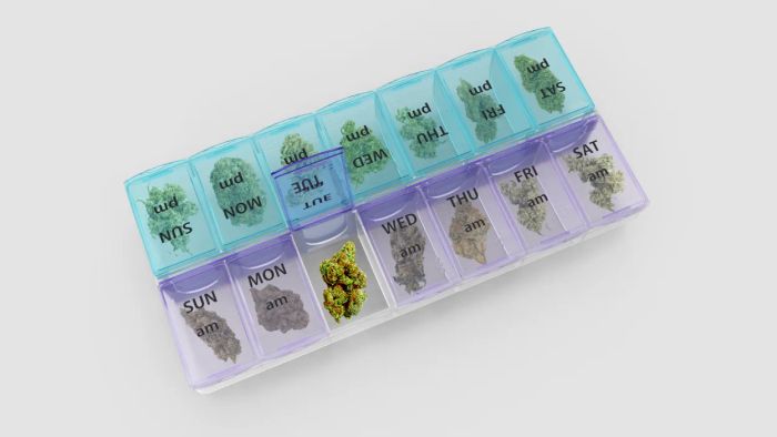 A conceptual design of a weekly pill organizer, each section containing a piece of cannabis flower