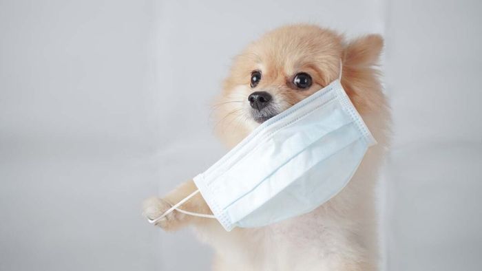 Understanding Mask Discomfort: Breathing Isn’t the Issue