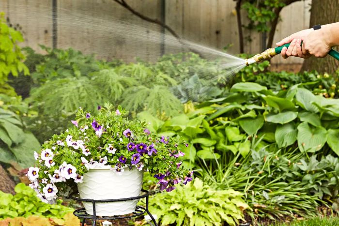 Hands using Dramm Heavy Duty Brass Hose Nozzle to spray water onto flowers