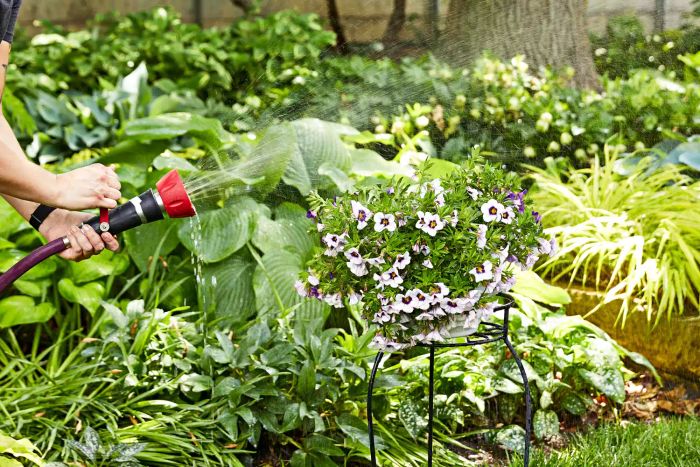 Hands using Gilmour Professional Classic Fireman’s Nozzle to spray water onto flowers