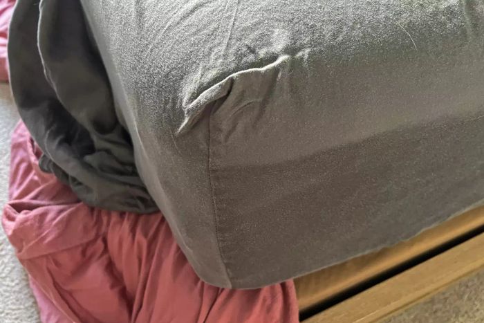 The corner of the fitted sheet from the Sheets & Giggles Eucalyptus Lyocell Sheets Set