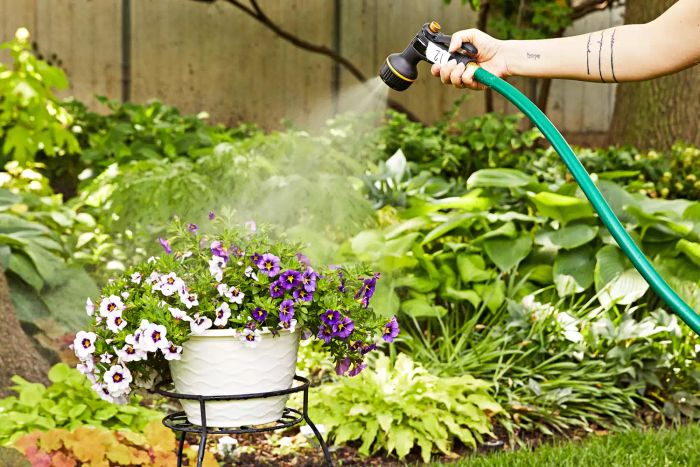 Hand using Melnor Rear Trigger Nozzle to spray water onto flowers