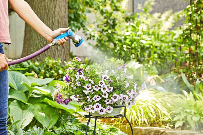 Hands using INNAV8 Water Hose Nozzle Sprayer to spray water onto flowers