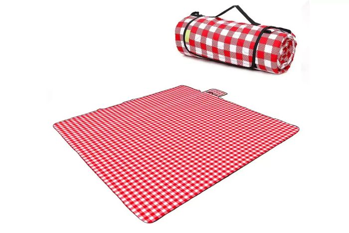 Three Donkeys Picnic Blanket