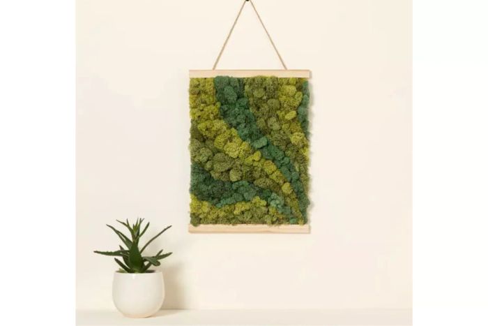 Uncommon Goods Moss Art by Numbers
