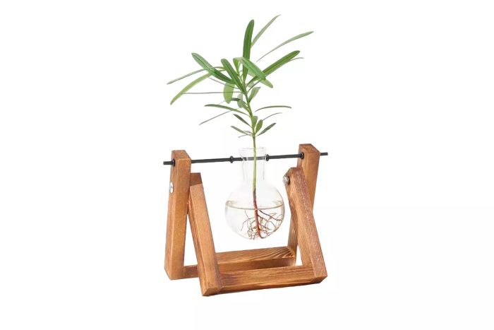 Sage & Sill Glass Propagation Vase with A-Frame Wooden Stand