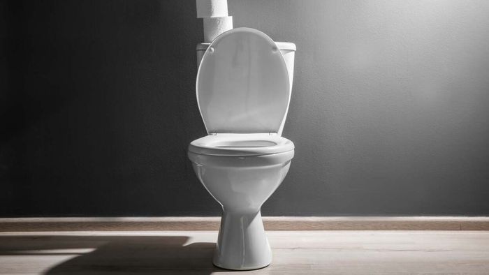 You haven't had a bowel movement in a while