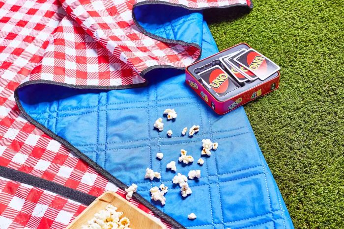 Three Donkeys Picnic Blanket