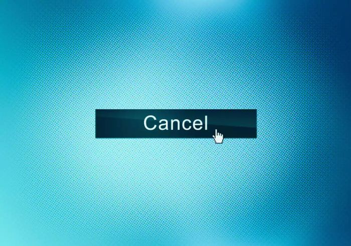 Close-up view of a button on a webpage displayed on a computer screen