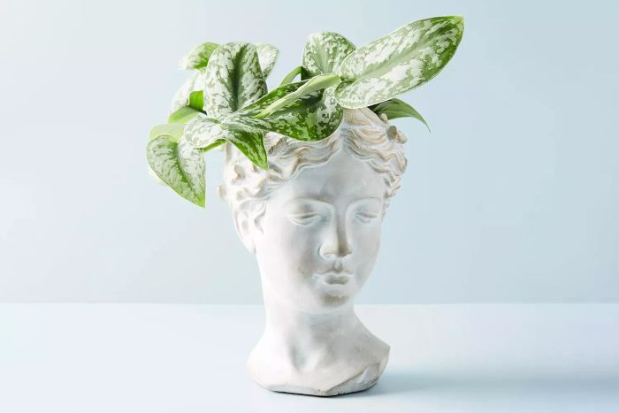 Anthropologie Grecian Bust Pot