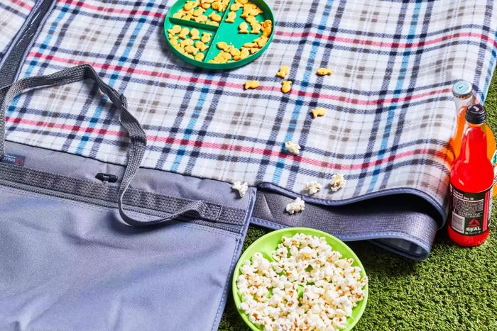 Oniva Blanket Tote laid out on grassy ground with snacks arranged on top