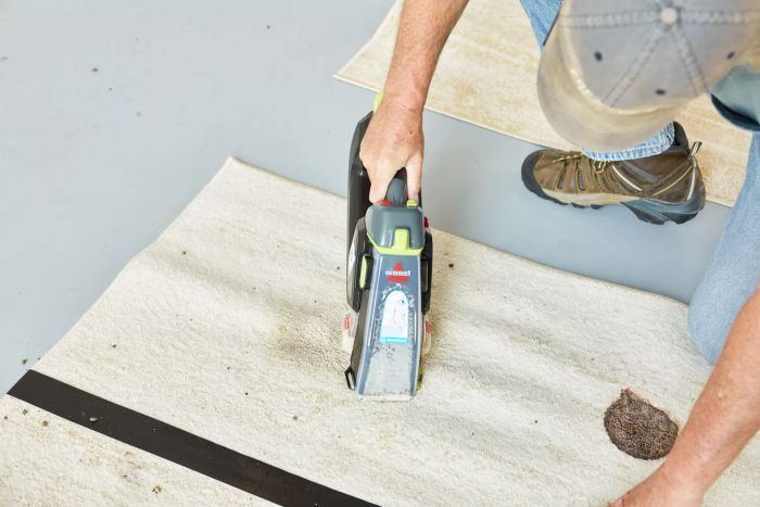 A person cleaning a carpet with the Bissell Pet Stain Eraser Plus