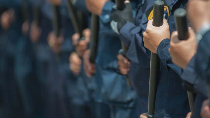Analyzing How Police Brutality in the U.S. Measures Up Globally
