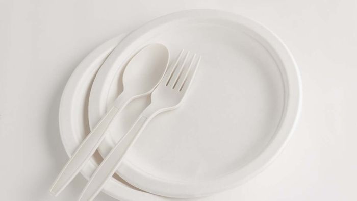 How to Achieve a Full Body Workout Using Just a Pair of Paper Plates