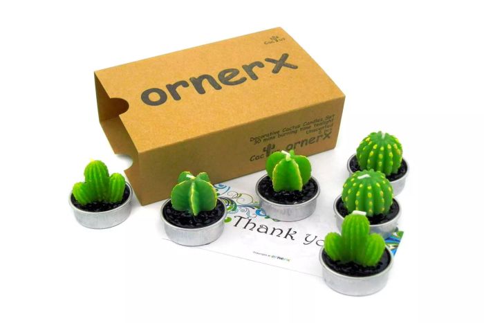 Amazon Ornerx Decorative Cactus Candles Set