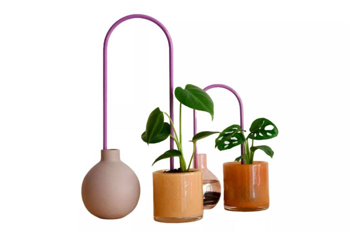 Plantstraws Mixed Colors Set