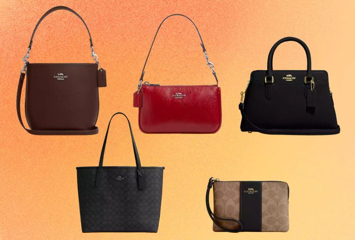 coach outlet one day sale