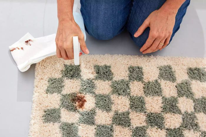 A person spraying cleaning solution onto a stain on the AllModern Walker Checkered Shag Area Rug