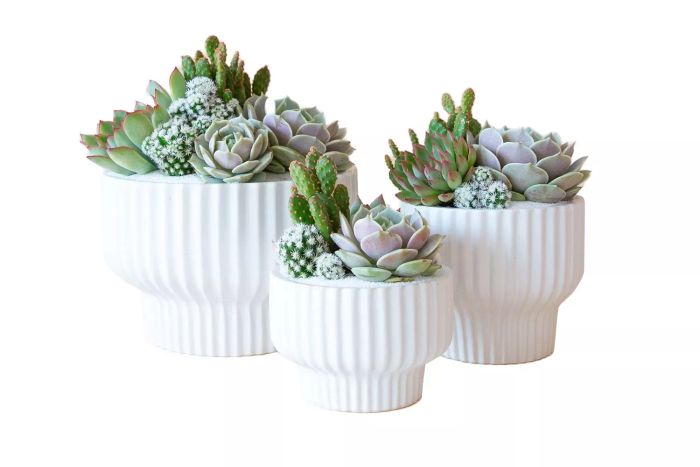 Pigment Presley Pedestal Pot