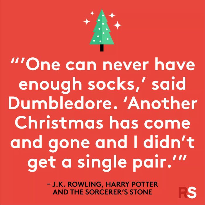 Best Christmas quotes - J.K. Rowling, Harry Potter and the Sorcerer’s Stone
