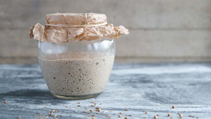 Experts are eager to learn about your sourdough starter