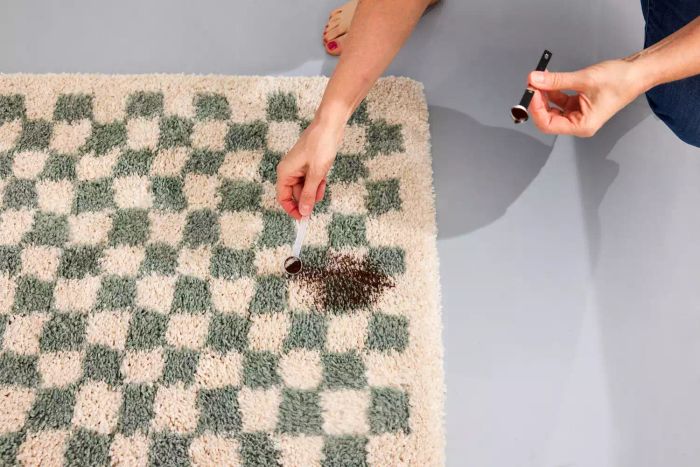 A person sprinkling dirt onto the AllModern Walker Checkered Shag Area Rug