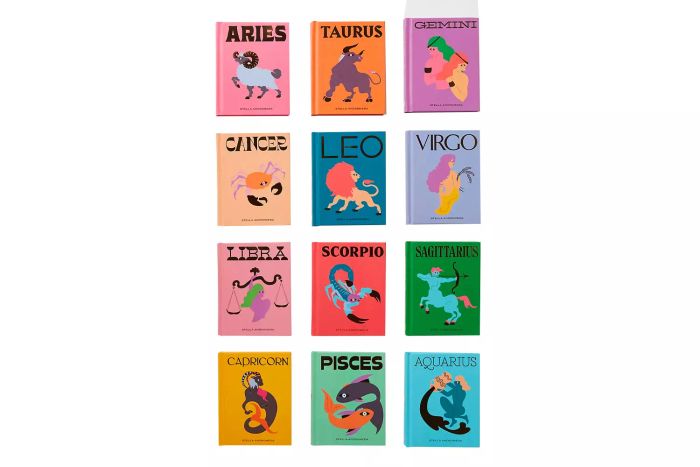 Seeing Stars Astrology Book