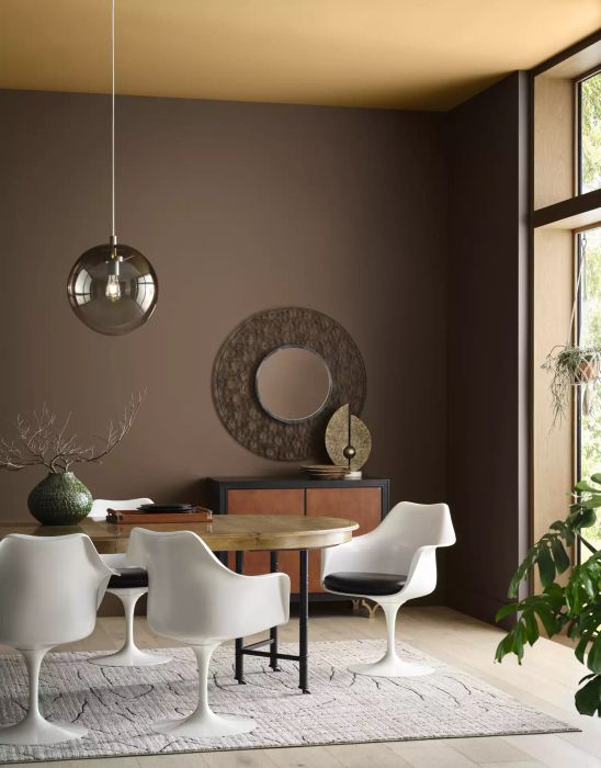 A dining room adorned with brown paint