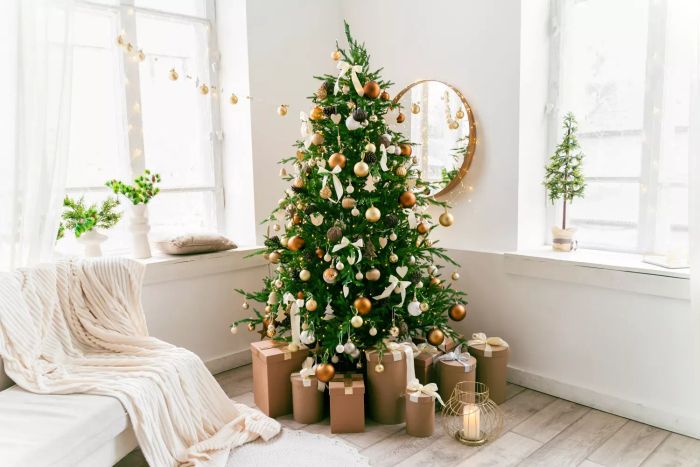 A bright and roomy home living area adorned with a festive Christmas pine tree