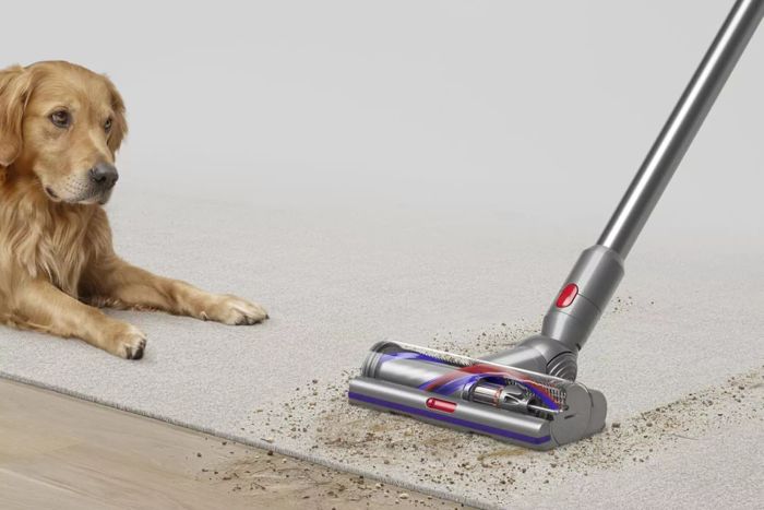 Dyson V15 Detect Plus Cordless Vacuum, Yellow/Nickel