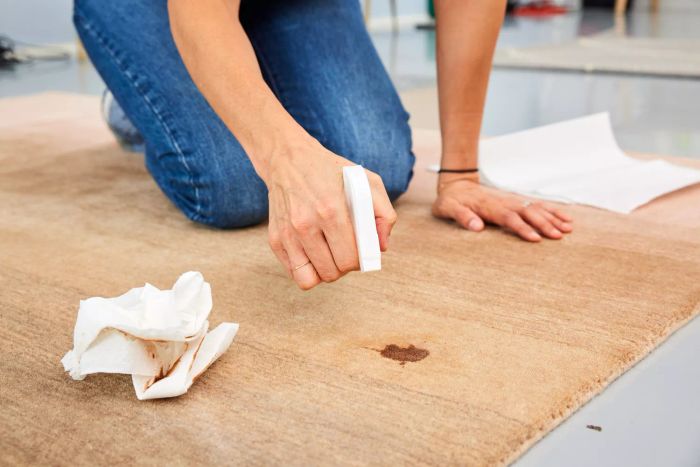 A person spraying cleaning solution onto a stain on the Revival Dawn Ombre Wool Rug