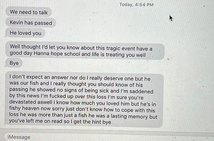 The ex mentions the death of the fish they once shared, receives no reply, and then launches into an emotional tirade, concluding that the fish symbolized a lasting memory of their relationship.
