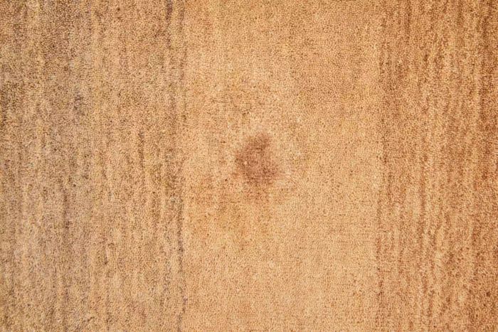 A stain on the Revival Dawn Ombre Wool Rug