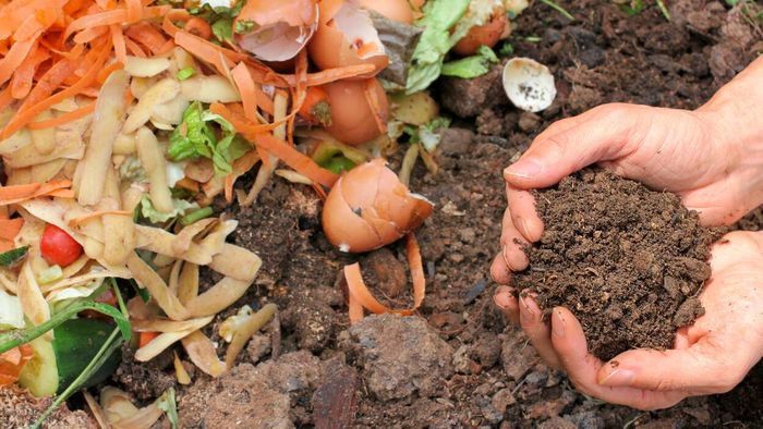 A Simple Guide to Composting in Your Apartment
