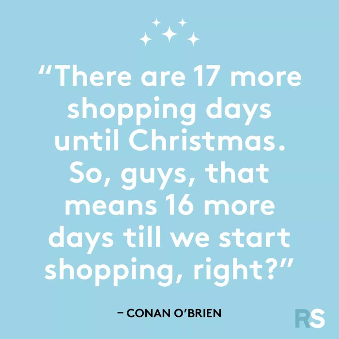 There are 17 more shopping days until Christmas. So, guys, that means 16 more days until we start shopping, right?