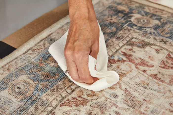 A person cleaning the Ruggable Kamran Rug