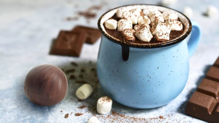 hot-chocolate-bombs-2