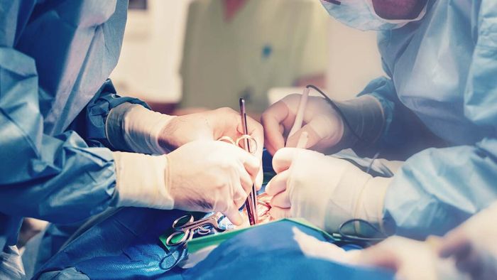 What’s the Expected Delay for Your Elective Surgery?