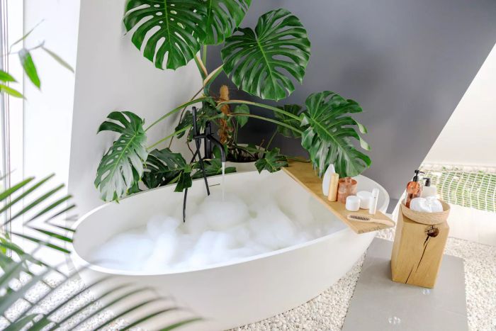 A bathtub filled with bubbles, decorated with a monstera tropical plant, and eco-friendly body care products displayed on a wooden shelf