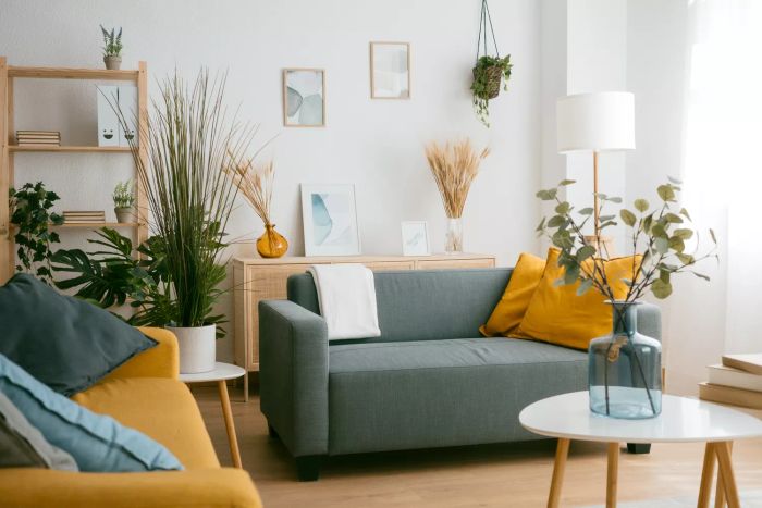 Living Room Layout Ideas