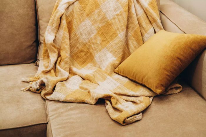 A sepia-toned image showing a wrinkled checkered blanket and a cushion resting on a sofa.