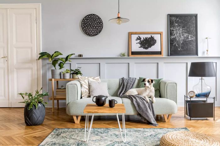 A functional living room featuring a dog
