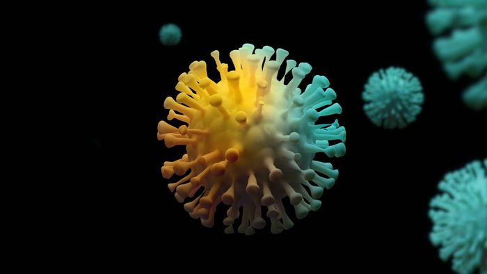 What Have You Learned About the Coronavirus This Week?