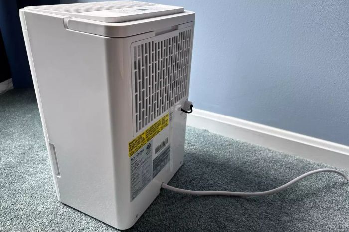 A side view of the Homelabs 8-Pint Dehumidifier plugged in on a green carpet against a blue wall
