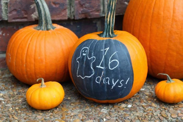 Pumpkin decorated with chalkboard paint