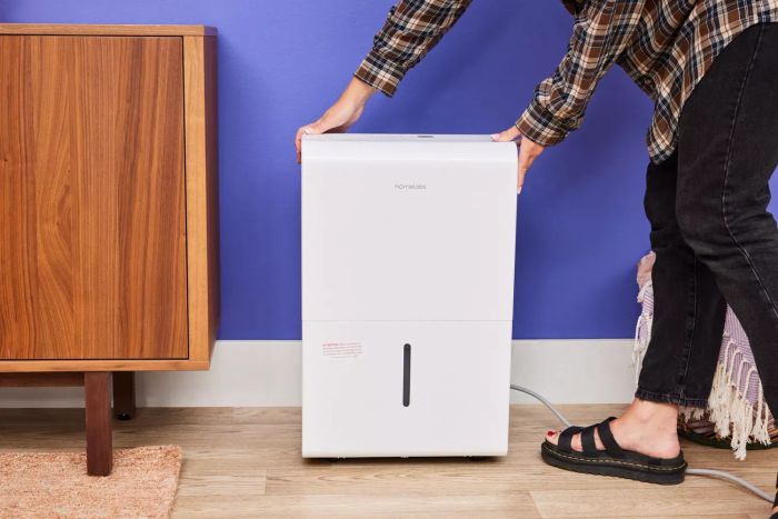 An individual positioning the Homelabs 50-Pint Wi-Fi Dehumidifier HME031003N on a wooden floor against a purple wall