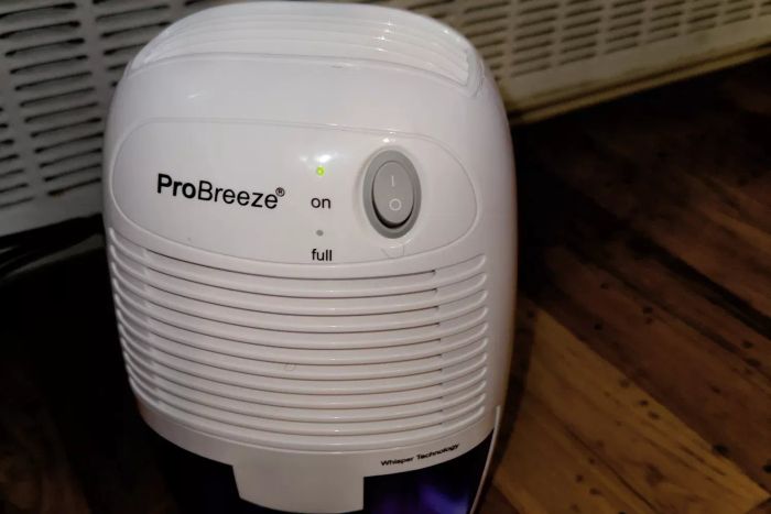 Pro Breeze Mini Portable Dehumidifier placed on a wooden floor