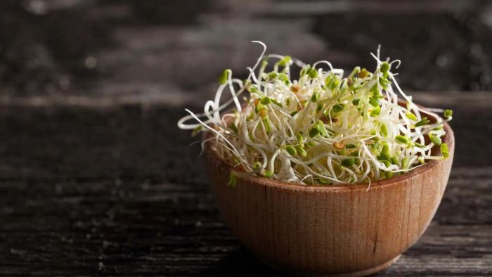 It’s likely best to steer clear of sprouts altogether