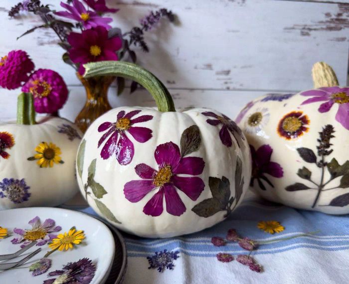 White pumpkins decorated with pressed flowers