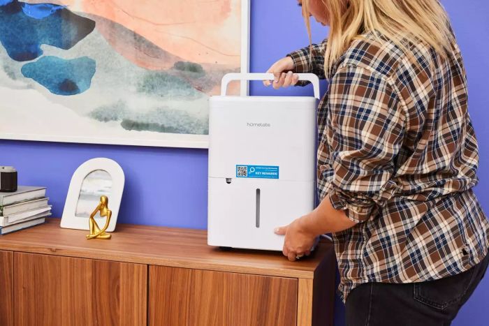 An individual positioning the Homelabs 8-Pint Dehumidifier on a wooden surface